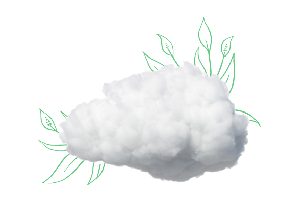 nature - cloud